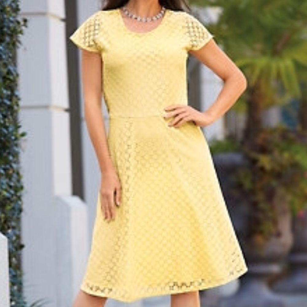 NEW Salon Studio lace fit & flare dress